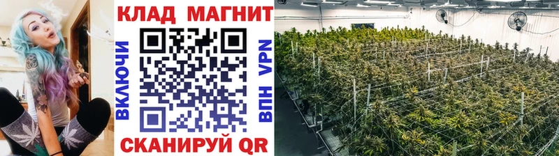 Что такое Сысерть КОКАИН Альфа ПВП Амфетамин МЕФ Канабис